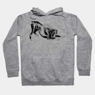 boxer dog Hoodie